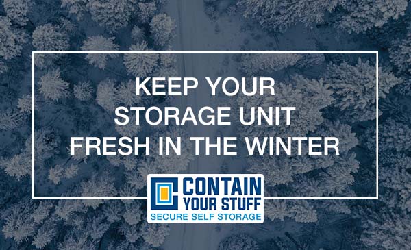 storage unit fresh, winter